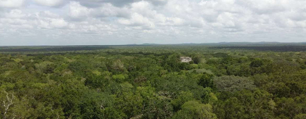 La construcción de una clase política en el sur del estado de Quintana Roo