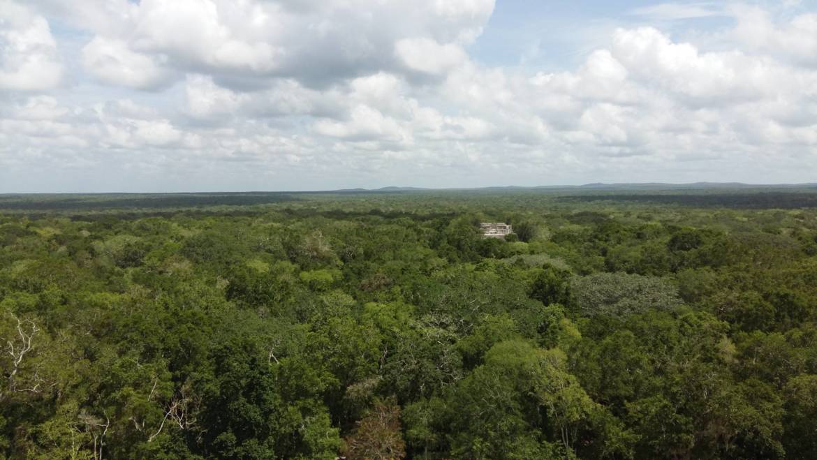 La construcción de una clase política en el sur del estado de Quintana Roo