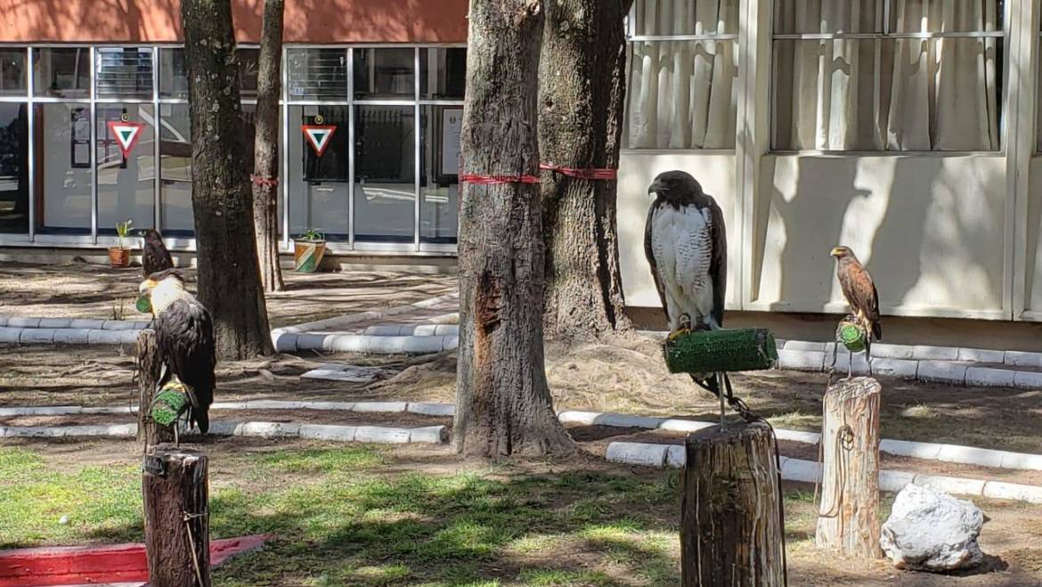 Breves reflexiones sobre las corrientes subterráneas