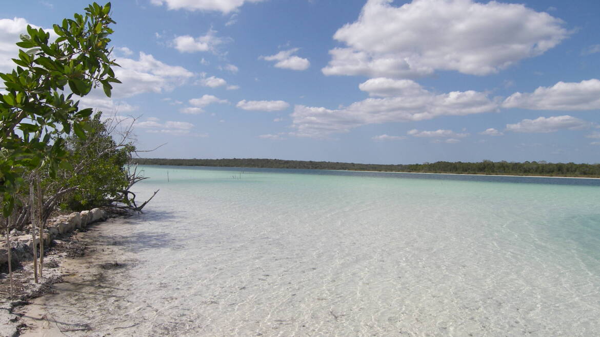 Sueños de desarrollo: ¿van a dejar morir a Chetumal?