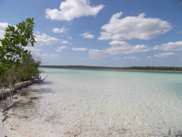 Sueños de desarrollo: ¿van a dejar morir a Chetumal?