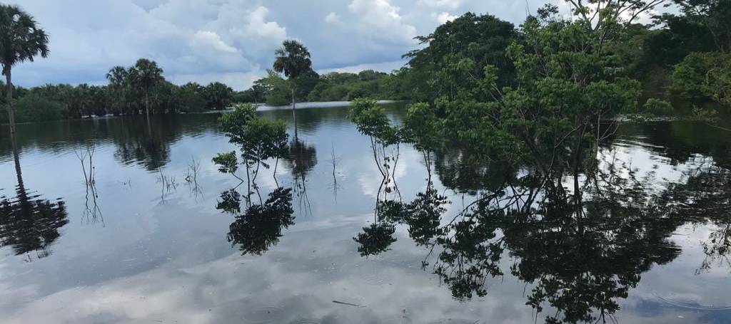 El valor de la libertad de expresión en Quintana Roo a 47 años de la creación de Cancún