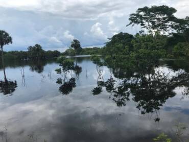 El valor de la libertad de expresión en Quintana Roo a 47 años de la creación de Cancún