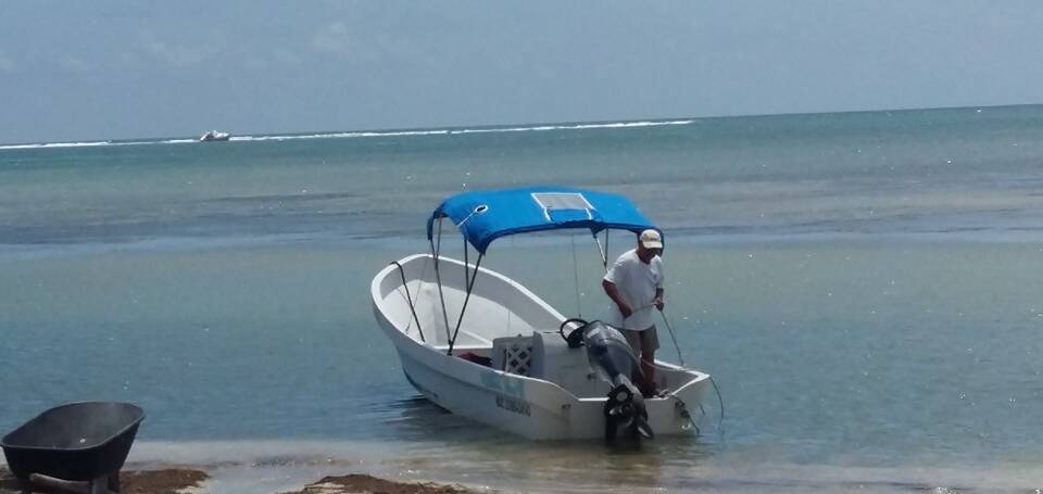 Efectos del COVID-19 frente al incremento de los delitos en el caribe mexicano